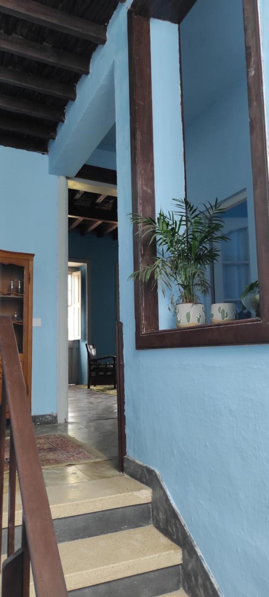 La Ballena Azul *